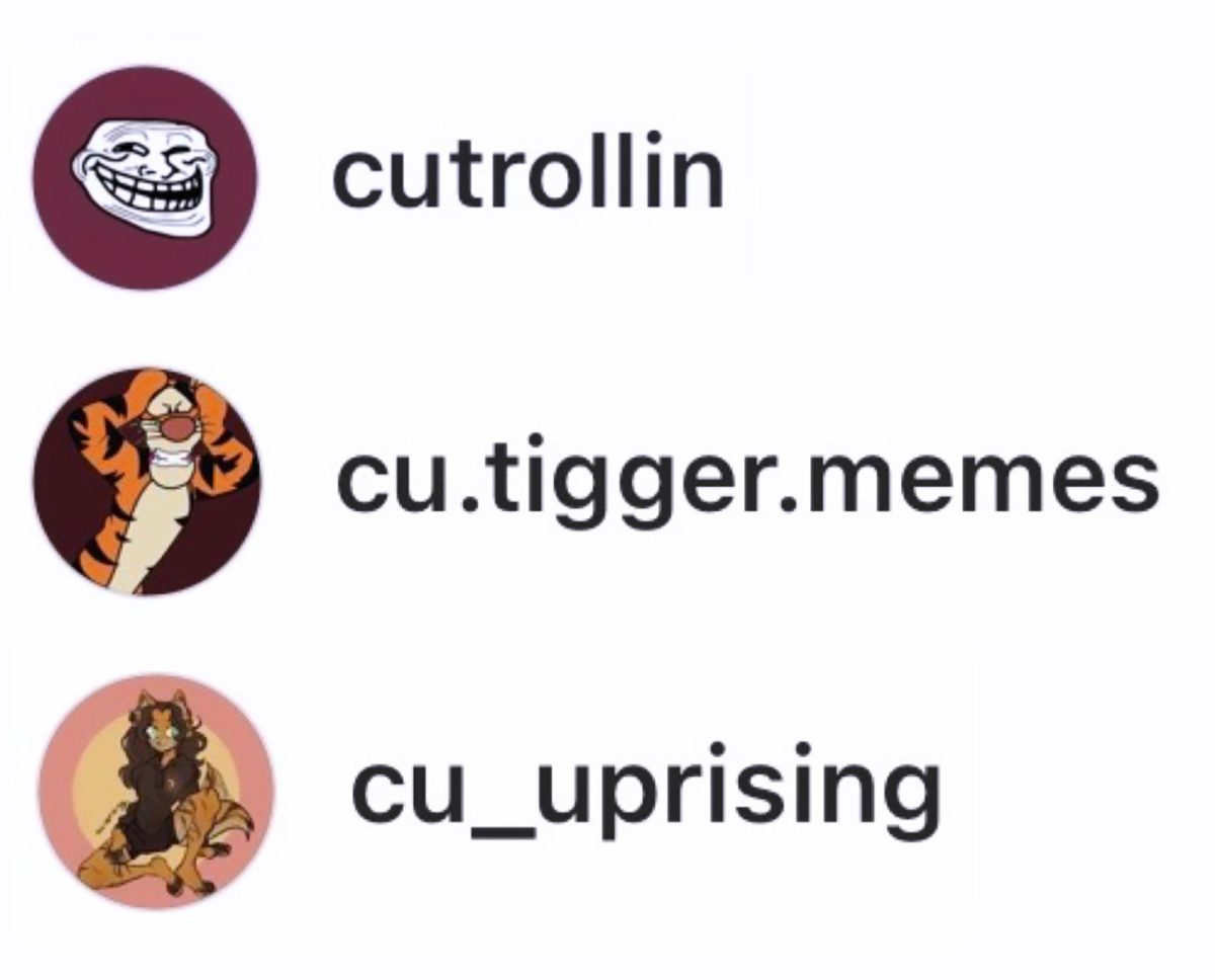 Campbellsville University is the inspiration behind several meme pages on Instagram, including cutrollin, cu.tigger.memes and cu_uprising.
