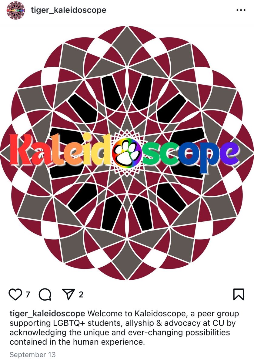 Pictured is a post on Instagram for "Kaleidoscope," a new group led by faculty adviser Charity Powell. 